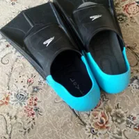 فین شنا