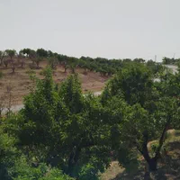 فروش زمین ۶۱۰ متری در محدوده پل زمانخان شوراب|فروش زمین و ملک کلنگی|اصفهان, ناژوان|دیوار