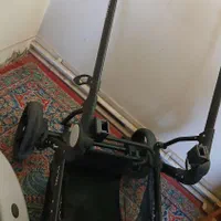 کالسکه دلیجان مدل روما|کالسکه و لوازم جانبی|اصفهان, باغ فدک|دیوار