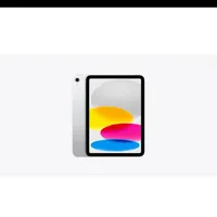 ipad wifi -256GB