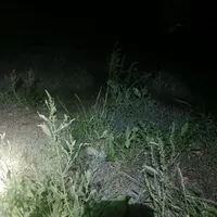 سلام دوستان عزیز من ۵الی ۶هزار متر زمین کنار ه