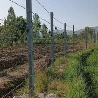 فنس کشی.سیم خاردار شاب دیوار بلوکی|خدمات باغبانی و درختکاری|دزفول, |دیوار