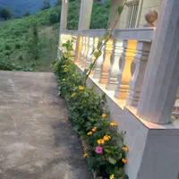 ویلا سوئیت اجاره ای