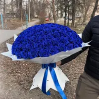 پروانه