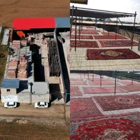 قالیشویی (قالی شویی) گلها