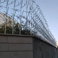 کاکتوس حفاظ خانه ویلا پنجره نیزه ای تیز|مصالح و تجهیزات ساختمان|شیراز, شهرک گلدشت حافظ‎|دیوار