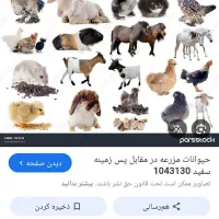 حیوان پیداشده