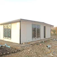 درخت کانکس پنلی