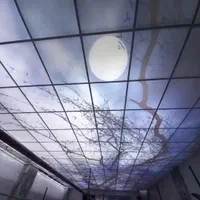 سقف کاذب و کناف .فروش.نصب تعمیرات انصاری|خدمات پیشه و مهارت|تهران, استاد معین|دیوار