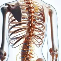 شکسته بندی ودررفتگی،تول ردکردن|خدمات آرایشگری و زیبایی|رباط‌کریم, |دیوار