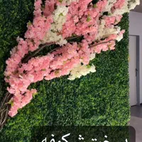 درختچه شکوفه و گرین وال های طبیعی قیمت عمده|خدمات باغبانی و درختکاری|مشهد, وکیل‌آباد|دیوار