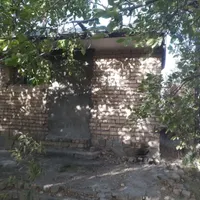 باغ فروشی پر محصول و پر آب|فروش دفتر صنعتی، کشاورزی، تجاری|تهران, حسن‌آباد|دیوار