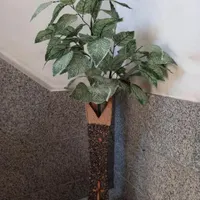 درختچه