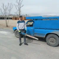 برش درخت قطع درخت خرید چوب. جابجایی انواع درخت|خدمات باغبانی و درختکاری|تهران, نیاوران|دیوار
