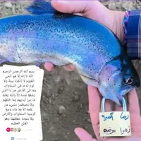 سرکتاب بدون هز..ینه