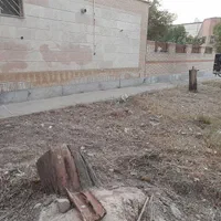 خدمات باغبانی|خدمات باغبانی و درختکاری|بندر ماهشهر, |دیوار