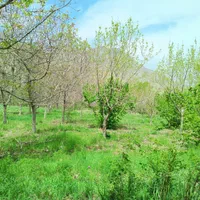 باغ روستای کهندان بهشت قم|فروش زمین و ملک کلنگی|قم, هفت تیر|دیوار
