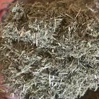 یونجه خورد شده و پرس|عمده‌فروشی|سرپل ذهاب, |دیوار