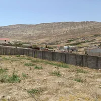 ۴۰۰متر زمین چهاردیواری  با درخت|فروش زمین و ملک کلنگی|تهران, حکیمیه|دیوار