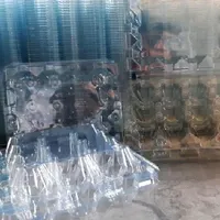 پک دکمه دار برای بسته بندی تخم بلدرچین|ظروف نگهدارنده، پلاستیکی، یک‌بارمصرف|آمل, |دیوار