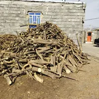 فروش و خرید چوب مرکبات جنوب رودان