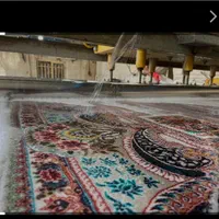 قالیشویی و مبل شویی لوتوس کمالشهر خرمدشت حصارک|خدمات نظافت|کرج, کمالشهر|دیوار