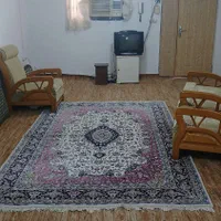 اجاره روزانه/هفتگی/ماهانه آپارتمان ۵۰ متری|اجارهٔ کوتاه‌مدت آپارتمان و سوئیت|نکا, |دیوار