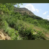 باغ تفریحی آوینا  واقع در روستای زیبای دلخان|اجارهٔ کوتاه‌مدت ویلا و باغ|شیراز, گویم|دیوار