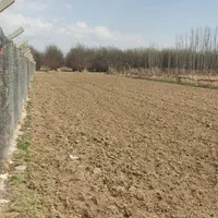 فروش زمین کشاورزی منصور کندی(1230متری)|فروش دفتر صنعتی، کشاورزی، تجاری|میاندوآب, |دیوار