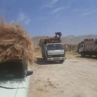 جاروشهرداری|عمده‌فروشی|کرج, برغان|دیوار