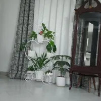 پرده پانچ بدون چین به طول13متر|پرده، رانر، رومیزی|پرند, |دیوار