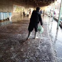 قالیشویی گل ایران کیفیت ضمانت