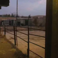 دامداری با کاربری سنددار(آبشینه-آروان)|فروش دفتر صنعتی، کشاورزی، تجاری|همدان, |دیوار