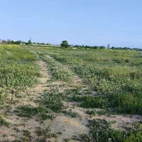 فروش زمین ۱۱۰۰ متری در خین عرب روستای بهار|فروش زمین و ملک کلنگی|مشهد, نوید (بلوار کشاورز)|دیوار