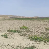 فروش  ۱۵ هکتار زمین کشاورزی شهرستان کلات