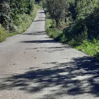 تهاتر باغچه در شرق گیلان