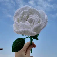 با صدتومن براش گل بخر