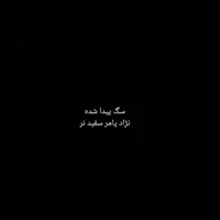 سگ پامرانین روباهی نر سفید پیدا شده