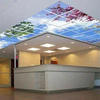 سقف استخر و سقف لمبه و سقف شبکه|خدمات پیشه و مهارت|تنکابن, |دیوار