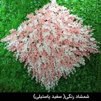 پخش چمن مصنوعی گرین وال|خدمات پیشه و مهارت|رشت, صفاری|دیوار