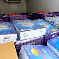 پخش عمده مرغ تازه بسته بندی، فله (تناژ)، مرغ منجمد|عمده‌فروشی|تهران, تهرانپارس شرقی|دیوار