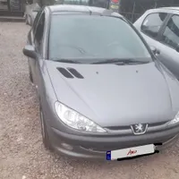۲۰۶ دور رنگ