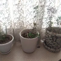 وسایل منزل|حراج|تهران, ائمه اطهار|دیوار