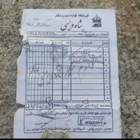 فاکتور پی سی پی گمشده است به یابند مزدگانی داد