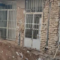 تخریب کار حرفه ای