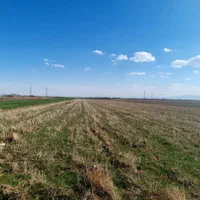 چهار هزار متر زمین باغی کشاورزی با سند و نقشه UTM|فروش دفتر صنعتی، کشاورزی، تجاری|کرج, محمود آباد|دیوار