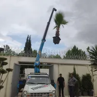 نیسان جرثقیل کوچک و بی صدا|خدمات حمل و نقل|شیراز, ریشمک|دیوار