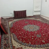 سویت اجاره داخل شهر|اجارهٔ کوتاه‌مدت آپارتمان و سوئیت|سردشت, |دیوار