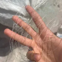 تورماهیگیری یال اسبی
