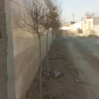 چهاردیواری بافت زکی آباد،سهیلیه،زعفرانیه،زکی آباد|فروش زمین و ملک کلنگی|کرج, مهرشهر - فاز ۲|دیوار